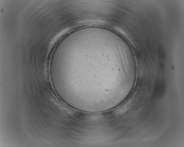 X0000072551074200607281643