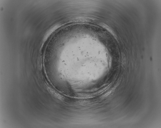 X0000072551075200607281643