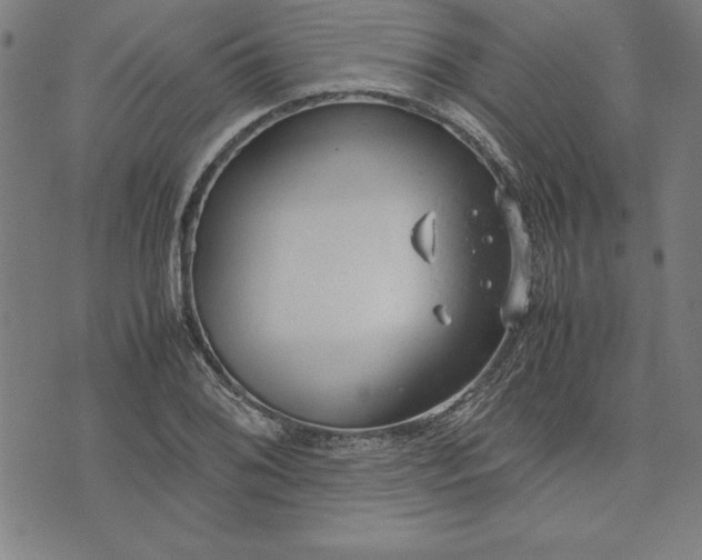 X0000072551076200607281643