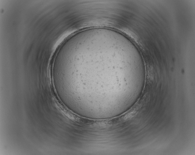 X0000072551078200607281643