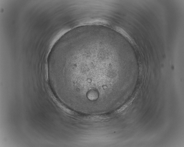 X0000072551079200607281643