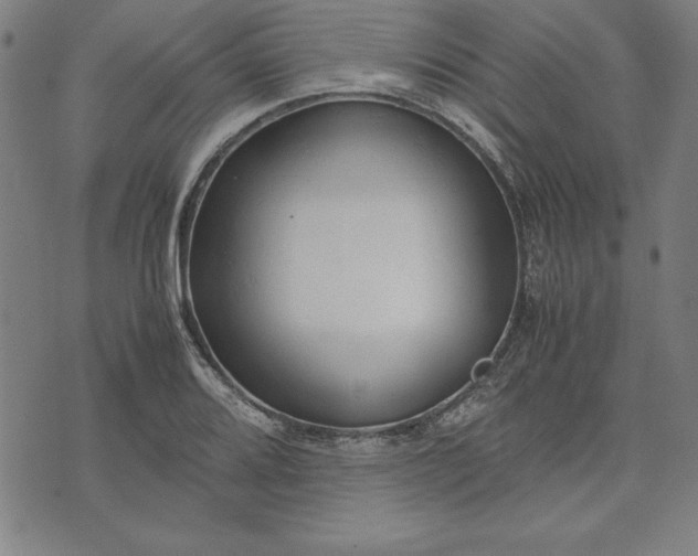 X0000072551080200607281643