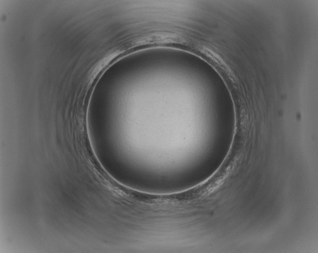 X0000072551081200607281643