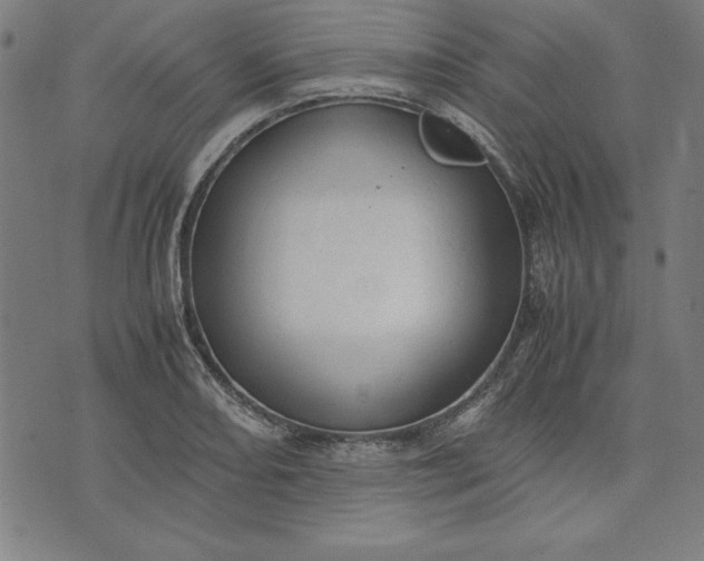 X0000072551082200607281643