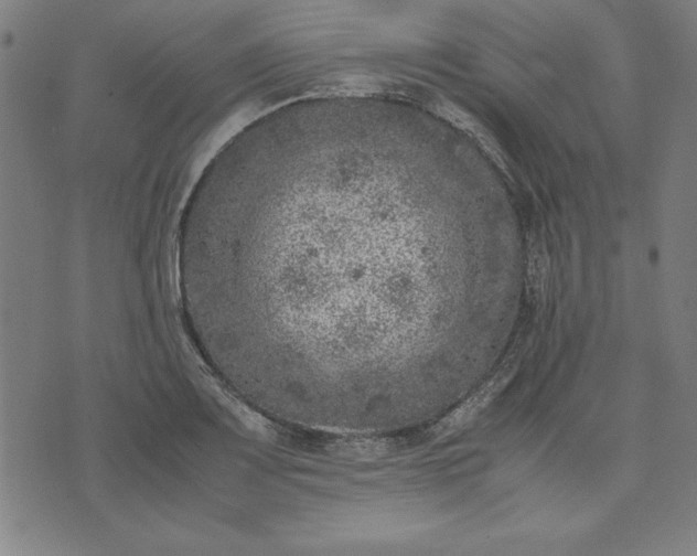 X0000072551083200607281643