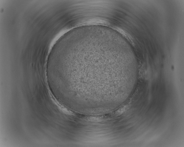 X0000072551086200607281643