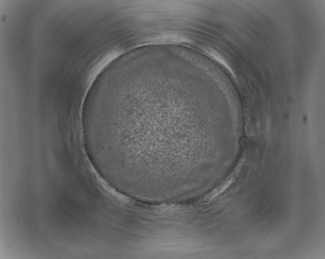 X0000072551087200607281643