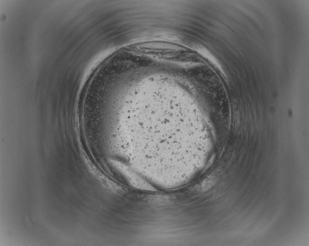 X0000072551088200607281643