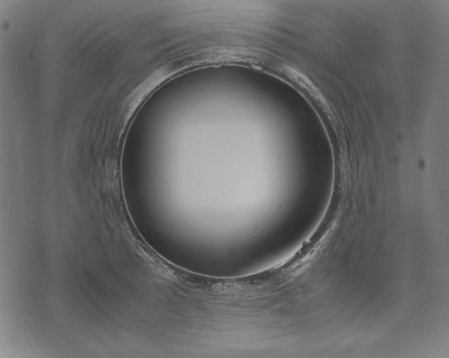 X0000072551089200607281642