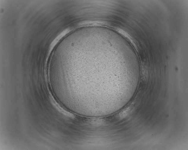 X0000072551090200607281642