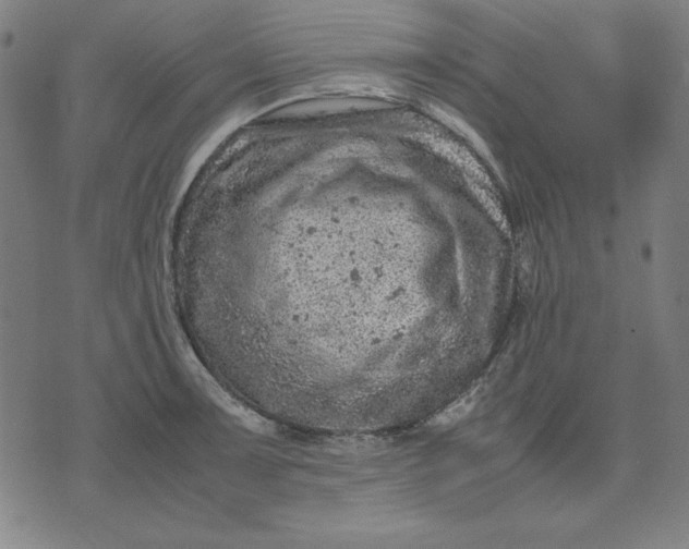 X0000072551091200607281642