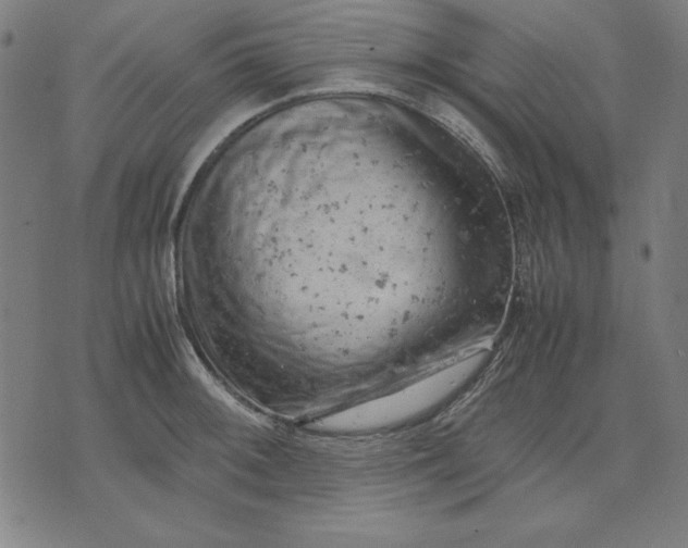 X0000072551092200607281642