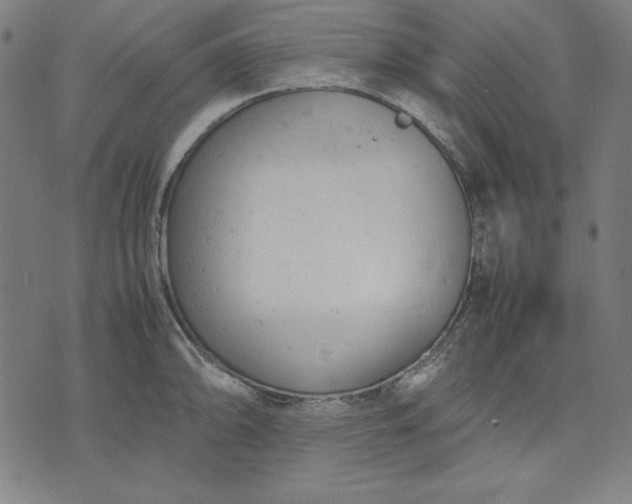 X0000072551094200607281642