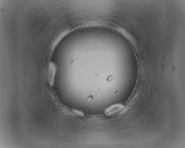 X0000072551097200607281642