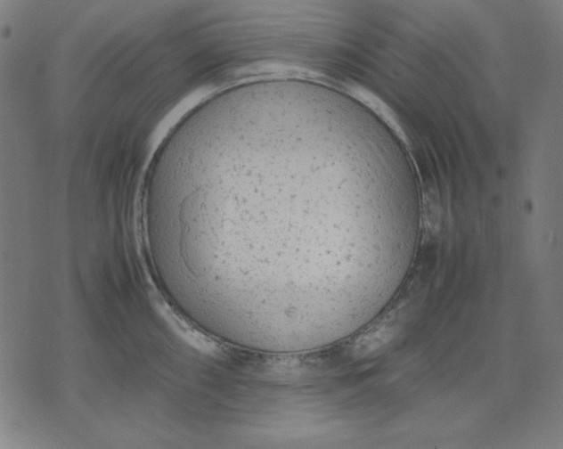 X0000072551098200607281642