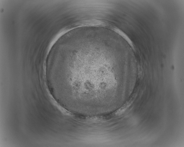 X0000072551099200607281642