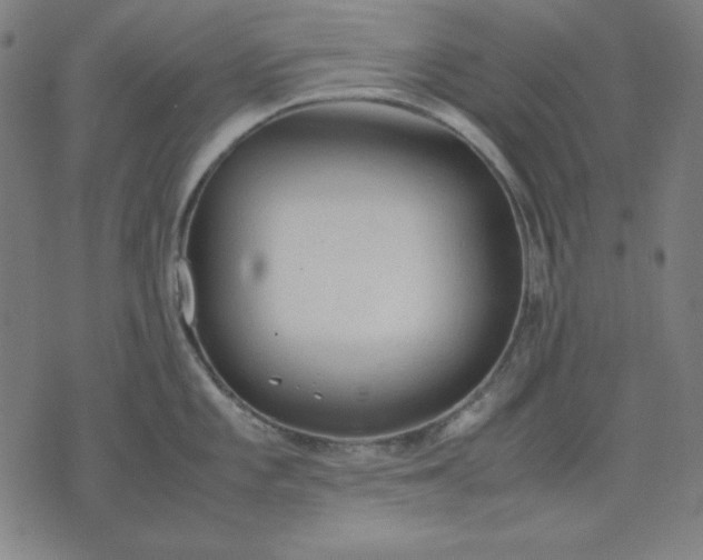 X0000072551101200607281642