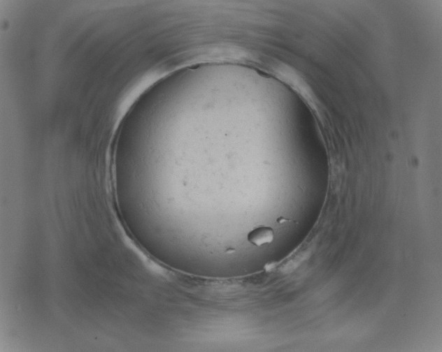 X0000072551103200607281642