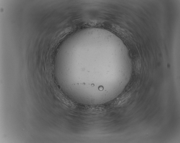 X0000072551105200607281641