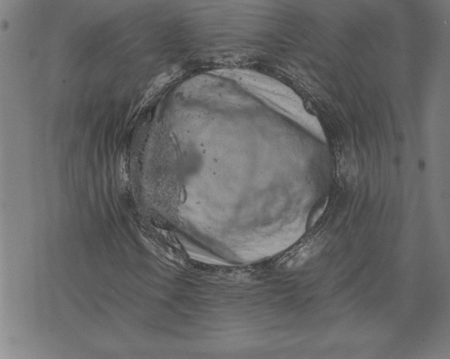 X0000072551106200607281641