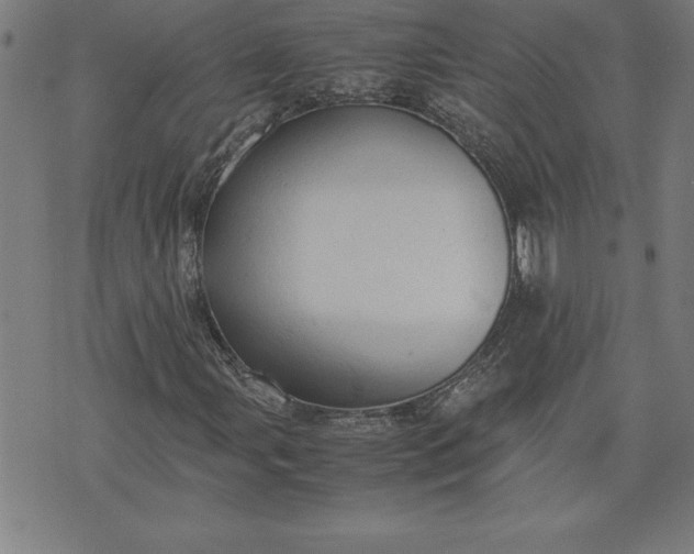 X0000072551107200607281642