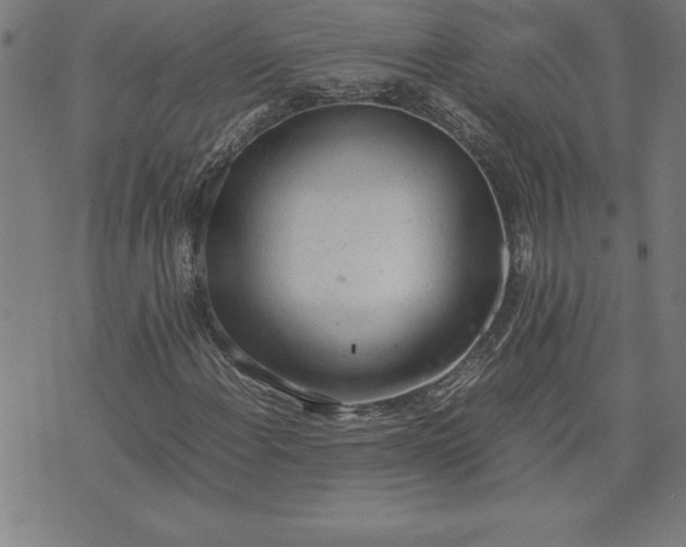 X0000072551108200607281642