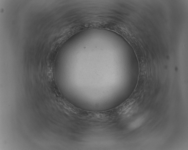 X0000072551109200607281642