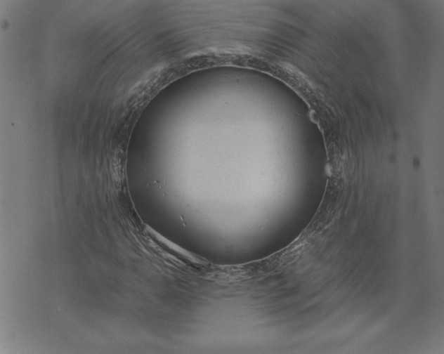 X0000072551110200607281642