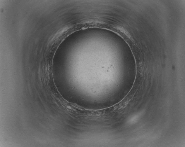 X0000072551111200607281642