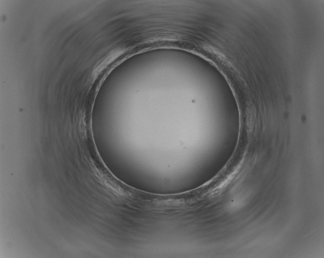 X0000072551113200607281642