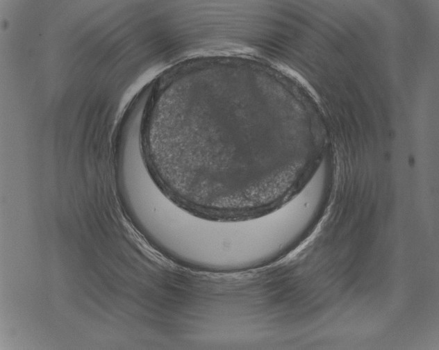 X0000072551114200607281642