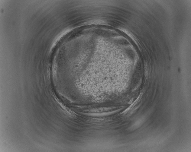 X0000072551115200607281642