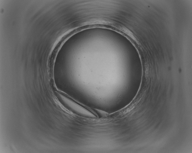 X0000072551116200607281642