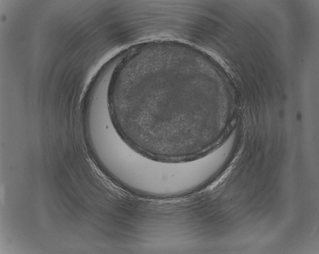 X0000072551118200607281642