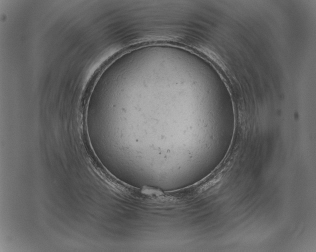 X0000072551119200607281642