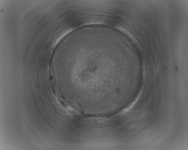 X0000072551121200607281642