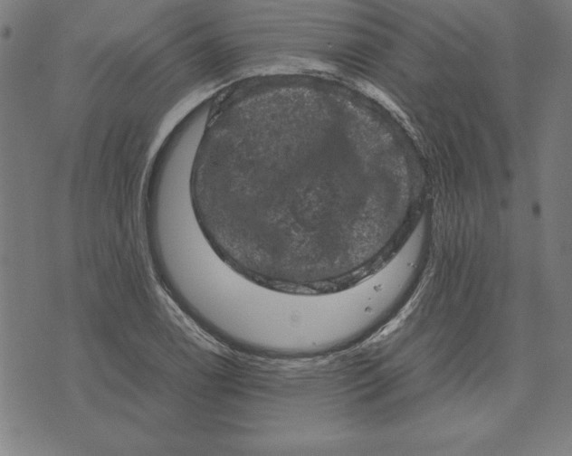 X0000072551122200607281642