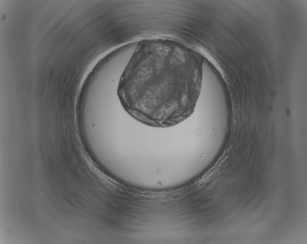 X0000072551124200607281642