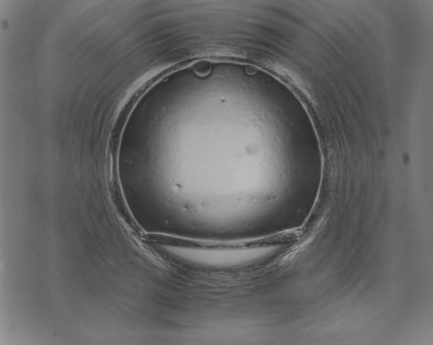 X0000072551125200607281642