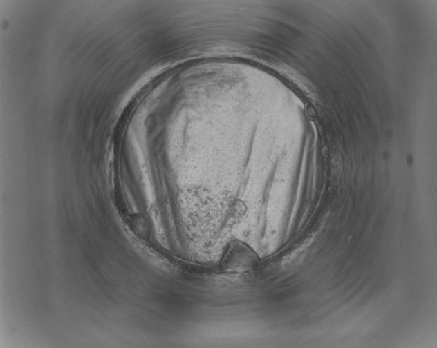 X0000072551126200607281642