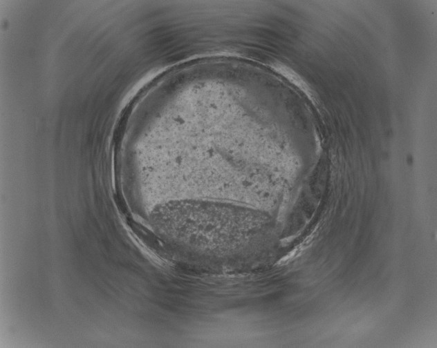 X0000072551127200607281642