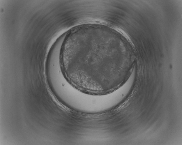 X0000072551128200607281642