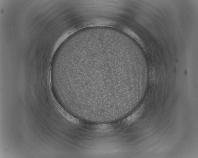 X0000072551130200607281642