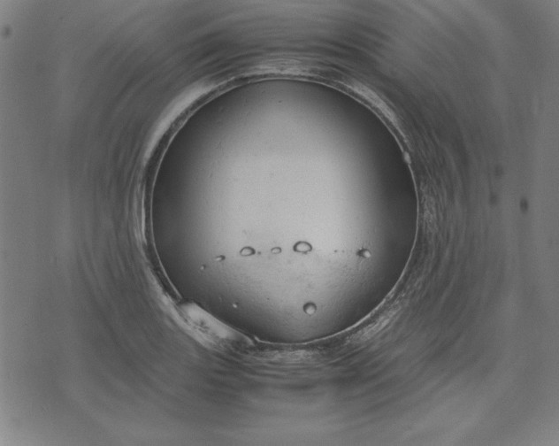 X0000072551131200607281642