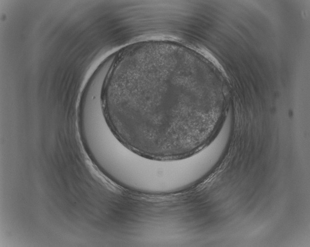 X0000072551132200607281642