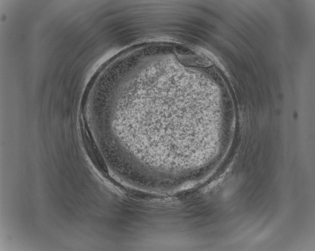 X0000072551133200607281642