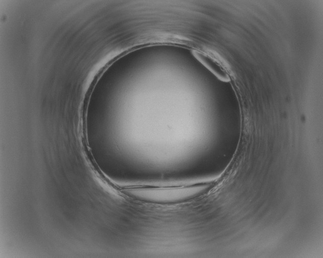 X0000072551136200607281642