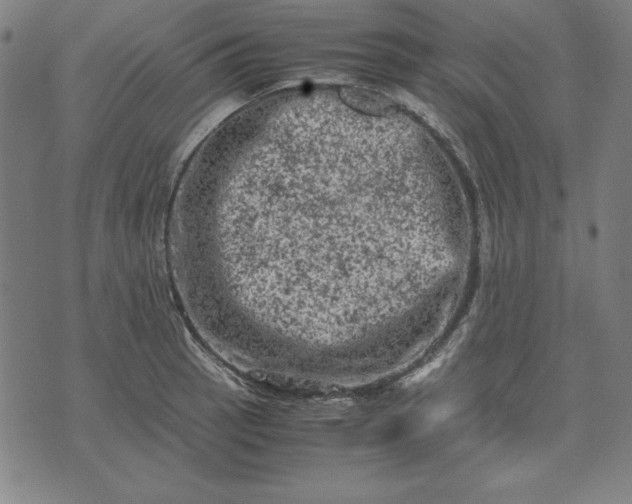 X0000072551137200607281642