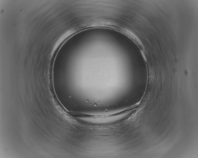 X0000072551138200607281642