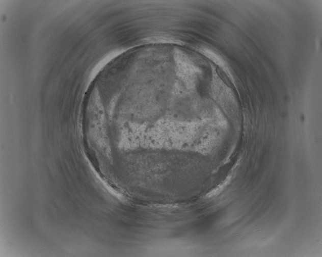 X0000072551141200607281642